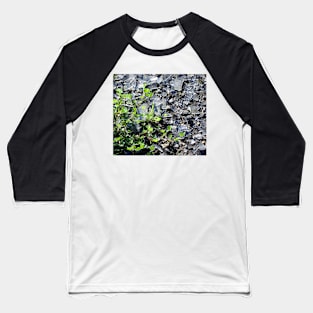 Clover and Glass Baseball T-Shirt